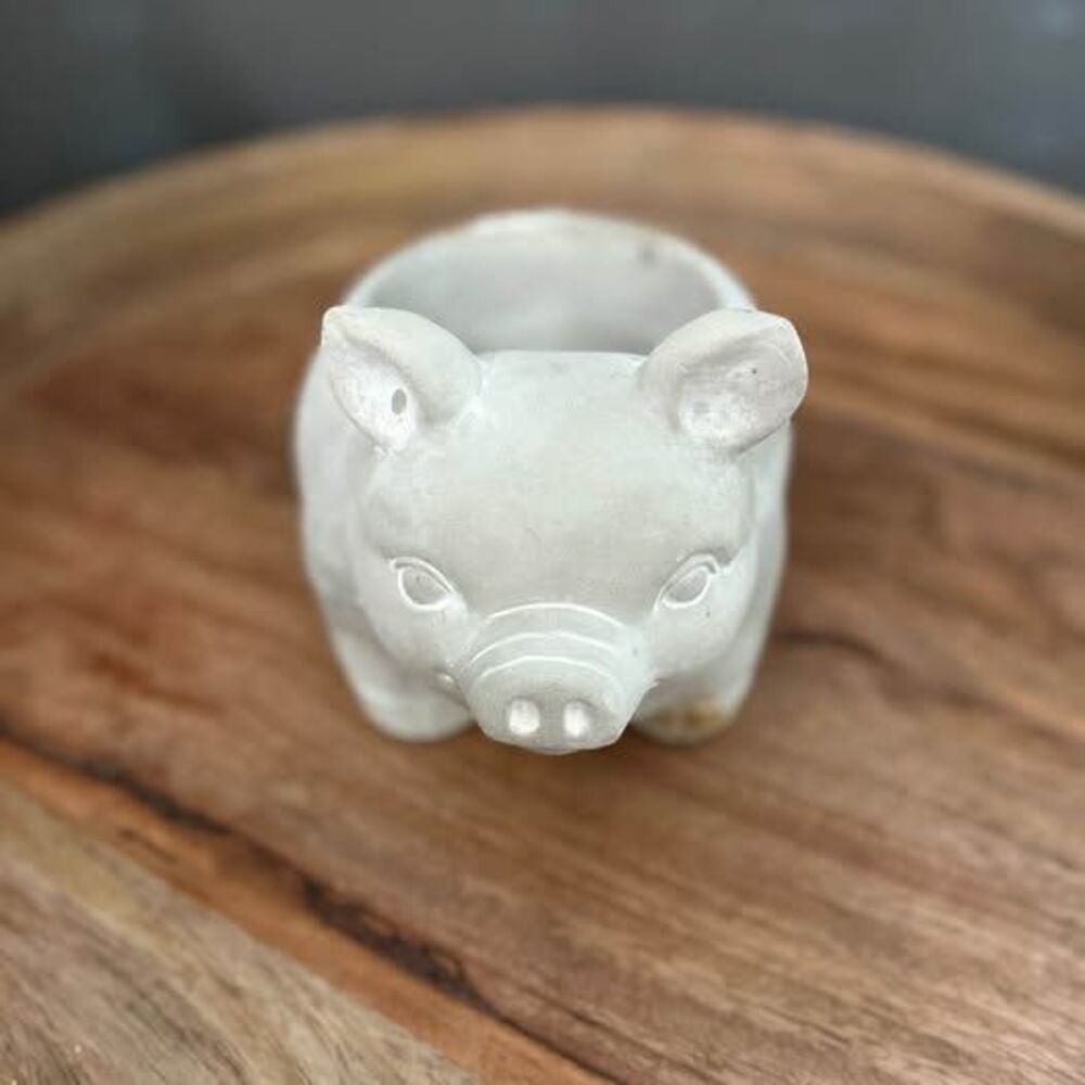 Concrete Pig Planter